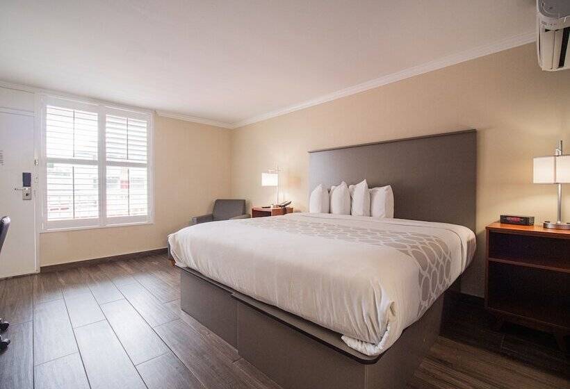 فندق Equus Inn I75