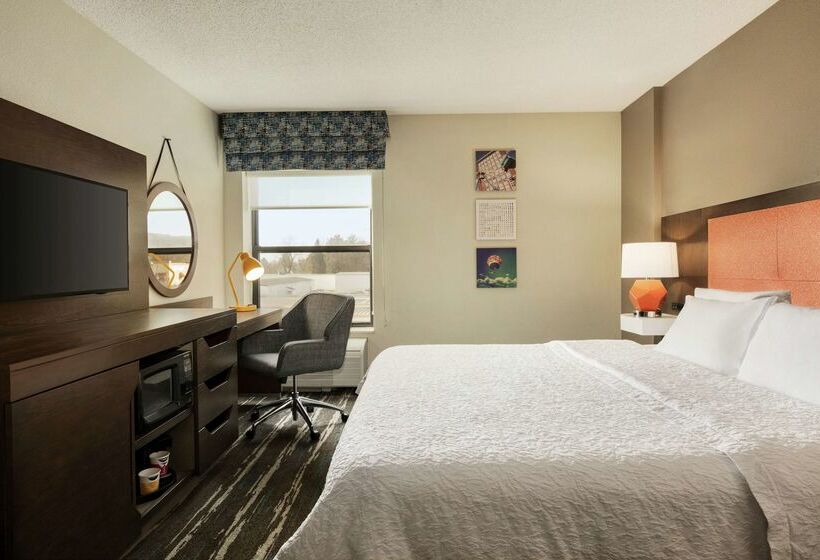 Отель Hampton Inn Binghamton/johnson City