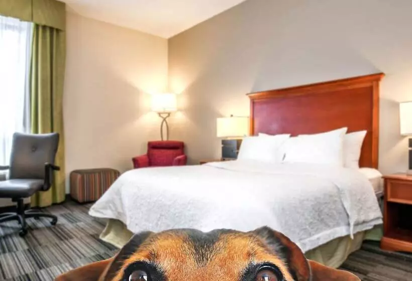 Отель Hampton Inn By Hilton Bowling Green