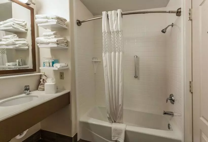 酒店 Hampton Inn Colorado Springs Airport