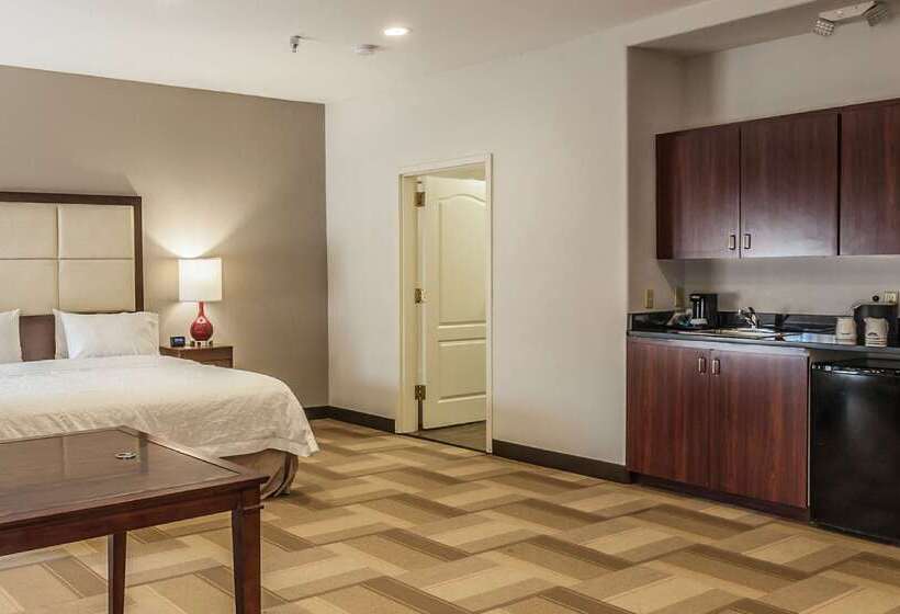 هتل Hampton Inn Colorado Springs Airport