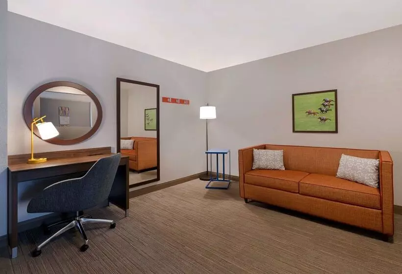 ホテル Hampton Inn Hot Springs