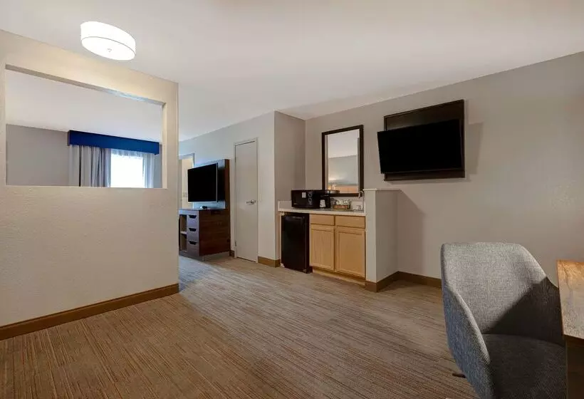 ホテル Hampton Inn Hot Springs