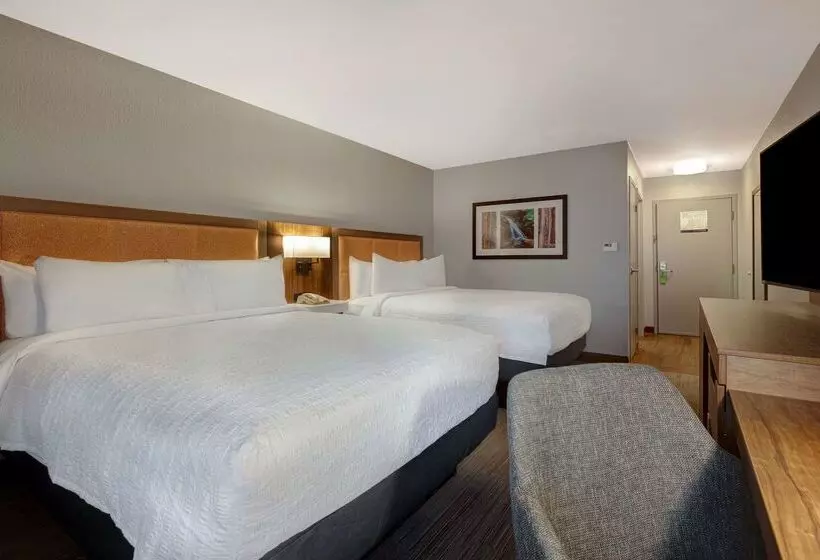 ホテル Hampton Inn Hot Springs