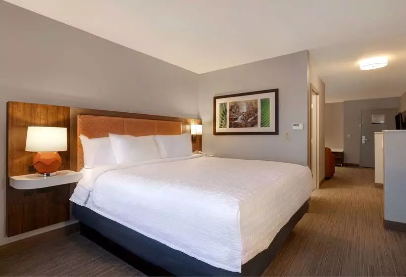 ホテル Hampton Inn Hot Springs