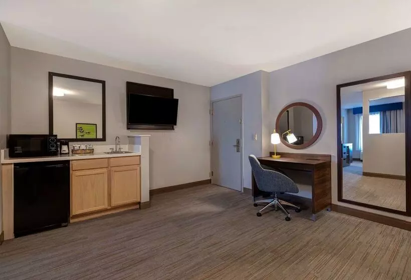 ホテル Hampton Inn Hot Springs