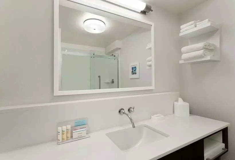 فندق Hampton Inn Houstonhobby Airport