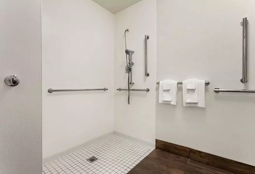 فندق Hampton Inn Houstonhobby Airport