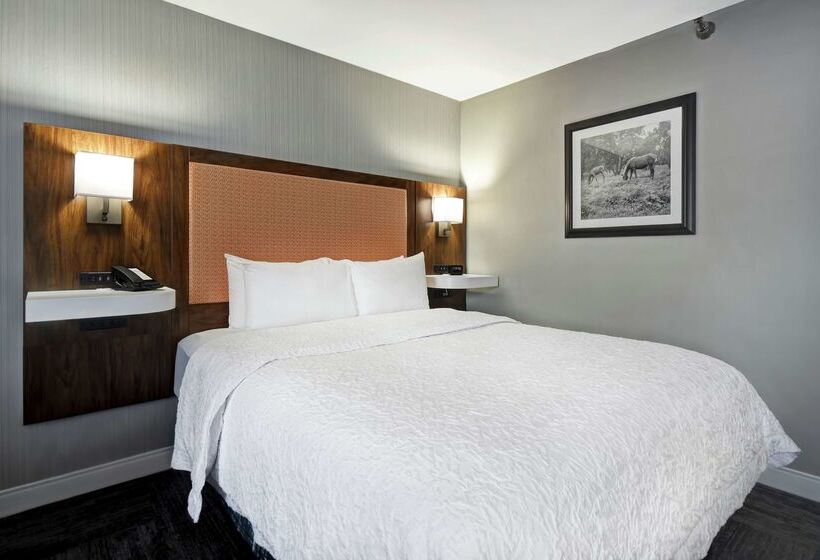 ホテル Hampton Inn I75 Lexington/hamburg Area