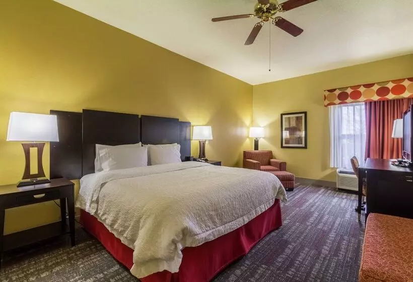 هتل Hampton Inn Jackson/clinton
