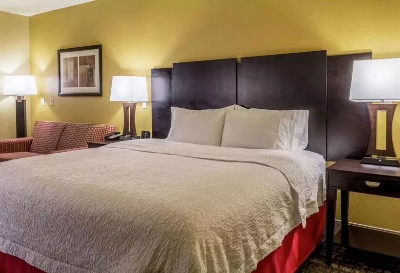 هتل Hampton Inn Jackson/clinton