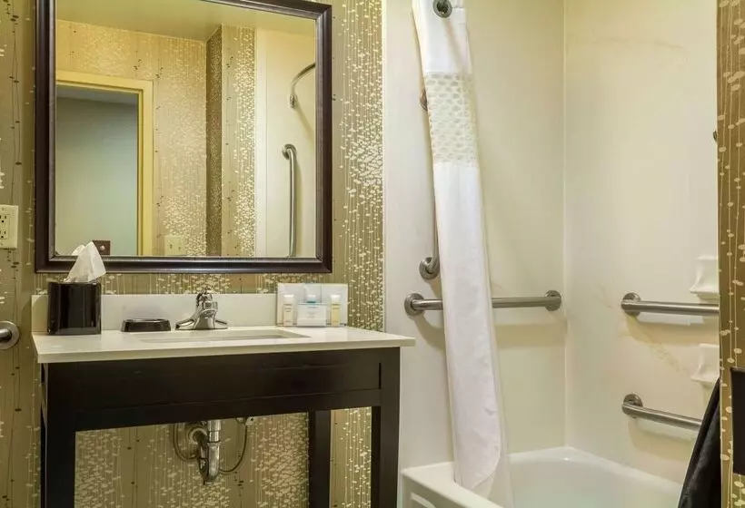 هتل Hampton Inn Jackson/clinton