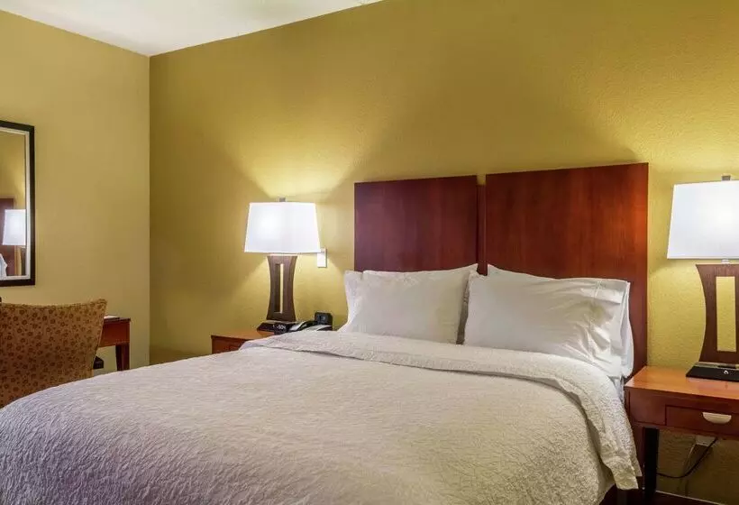 هتل Hampton Inn Jackson/clinton