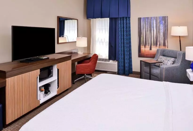 酒店 Hampton Inn Lexingtonhistoric District