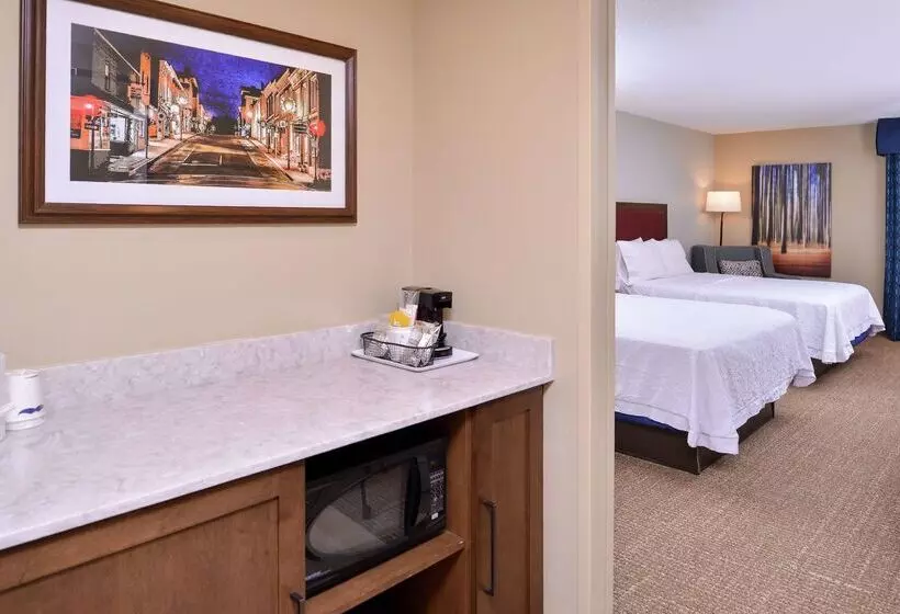 酒店 Hampton Inn Lexingtonhistoric District