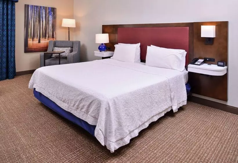 酒店 Hampton Inn Lexingtonhistoric District