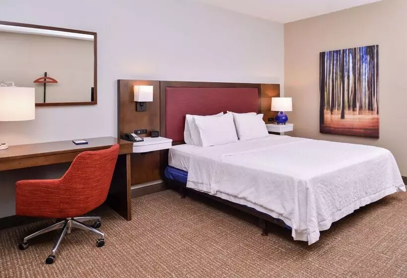 酒店 Hampton Inn Lexingtonhistoric District