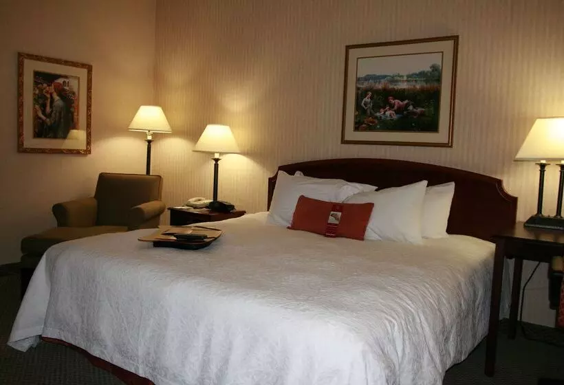 Отель Hampton Inn Salt Lake City Murray