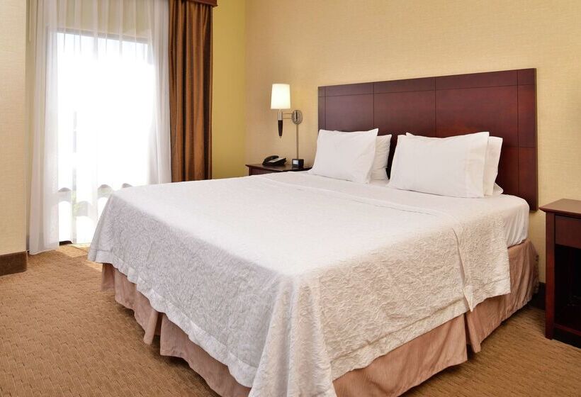 호텔 Hampton Inn Staunton