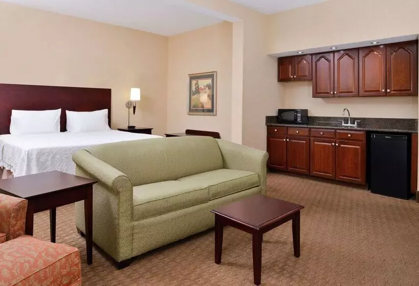 هتل Hampton Inn Staunton
