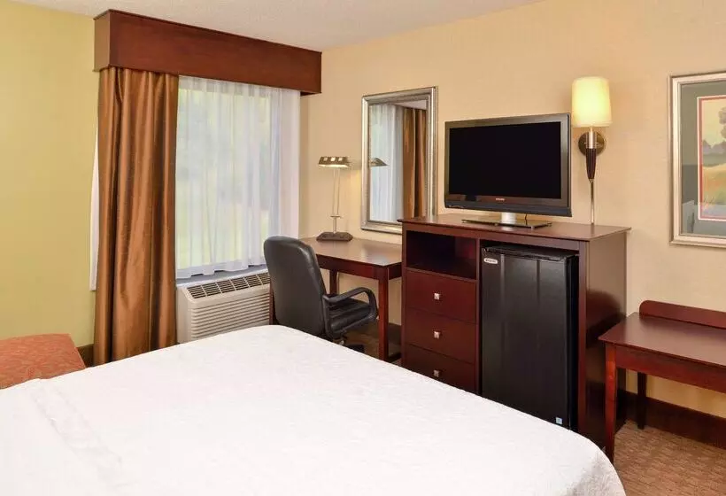 هتل Hampton Inn Staunton