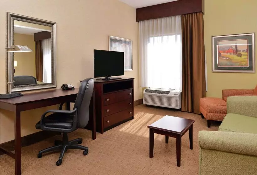 هتل Hampton Inn Staunton