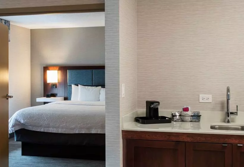 ホテル Hampton Inn & Suites Chicago/lincolnshire