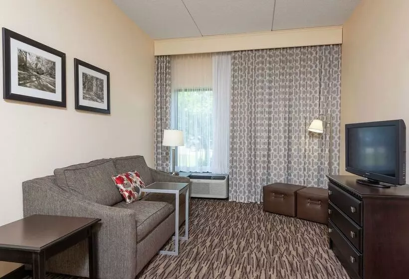 Отель Hampton Inn & Suites Clevelandairport/middleburg Heights