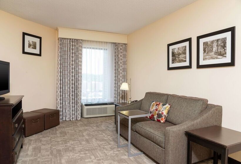 酒店 Hampton Inn & Suites Clevelandairport/middleburg Heights