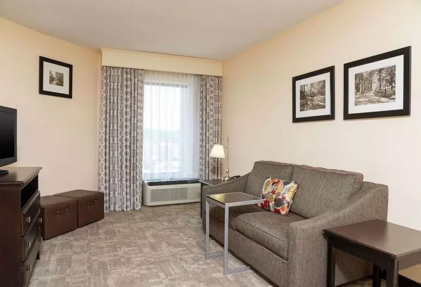 Отель Hampton Inn & Suites Clevelandairport/middleburg Heights