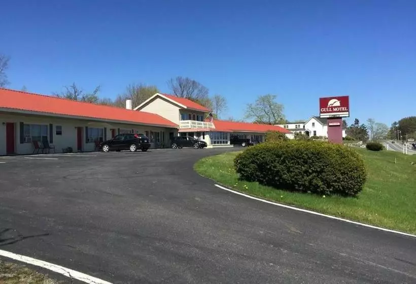 Gull Motel