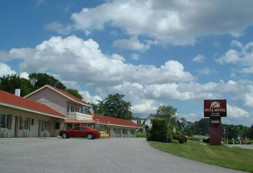 Gull Motel