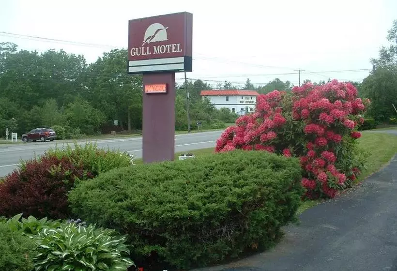 Gull Motel