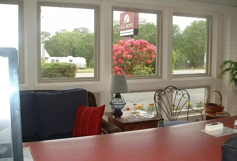 Gull Motel