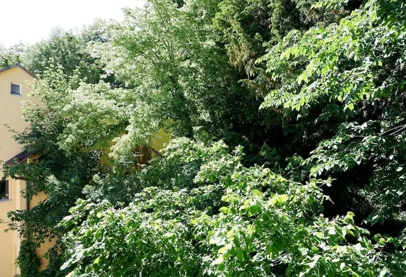 3 Zimmer Apartment In Altstadtlage