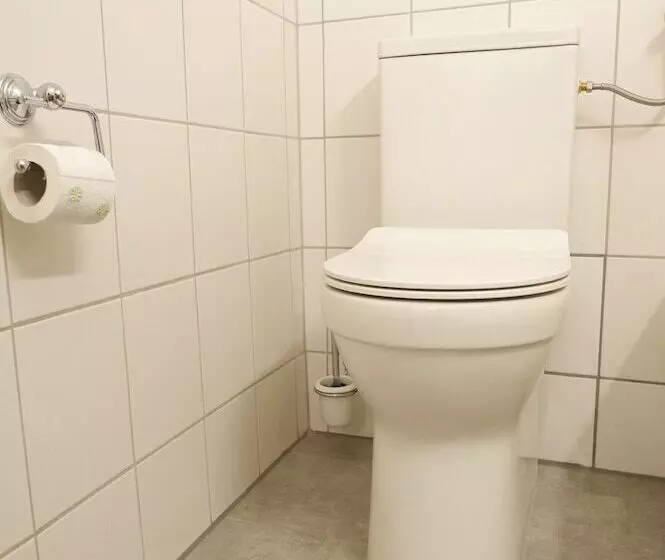 3 Zimmer Apartment In Altstadtlage