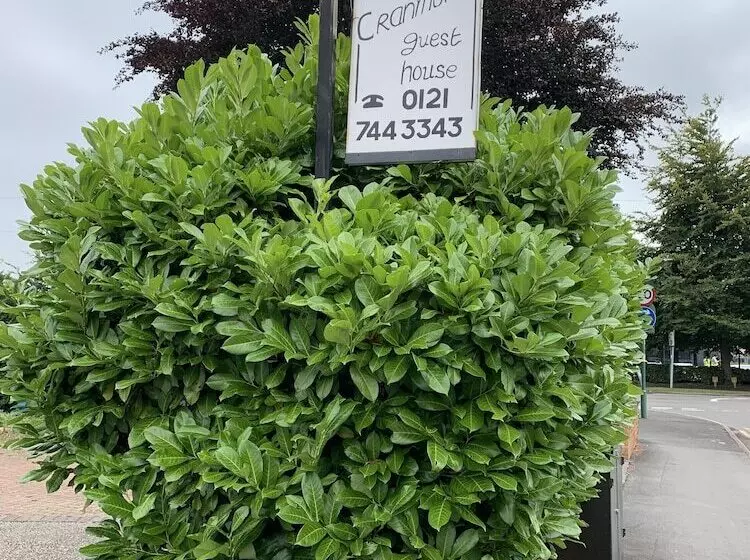 Aamiaismajoitus (B&B) Cranmore Guest House