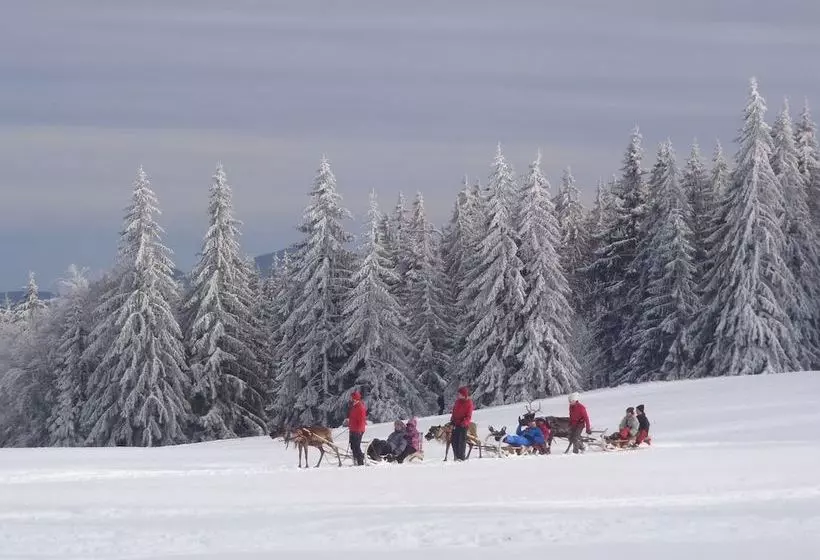 Gite La Petite Finlande