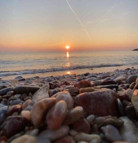 ペンション Fiore Di Flora