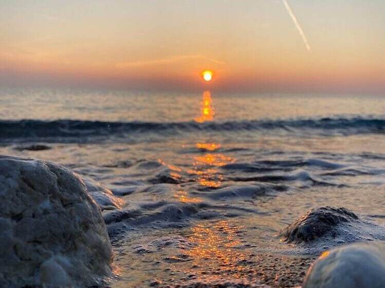 ペンション Fiore Di Flora