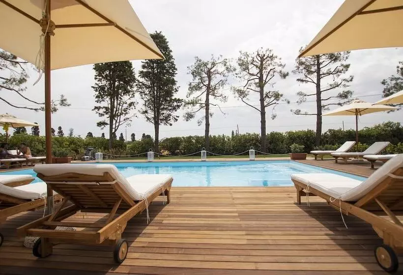 ホテル Casa Tua Spa Resort