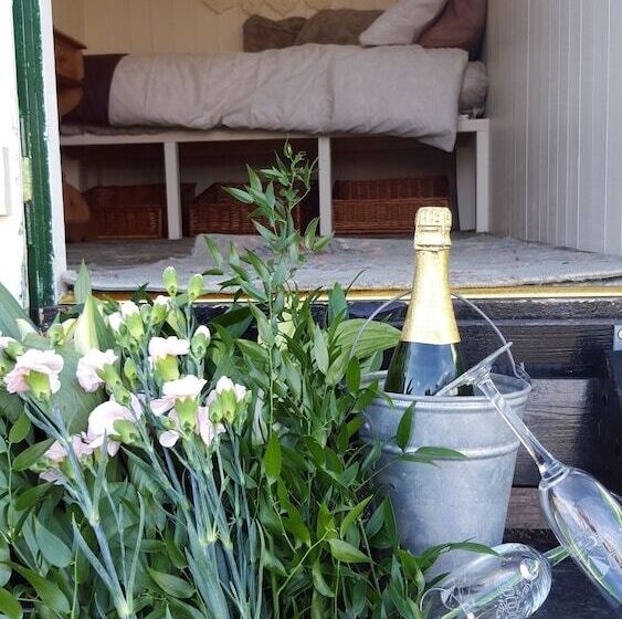 בית מלון כפרי Nathan S Farm