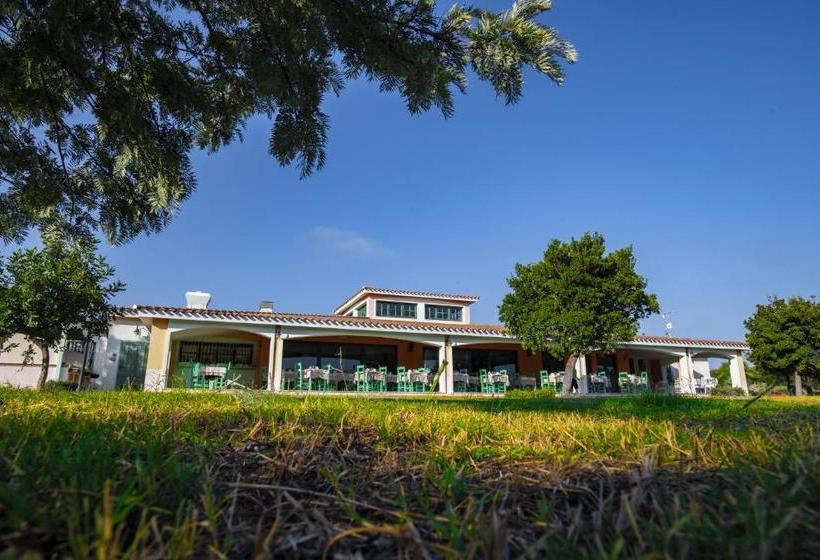 פונדק Papaveri E Grano