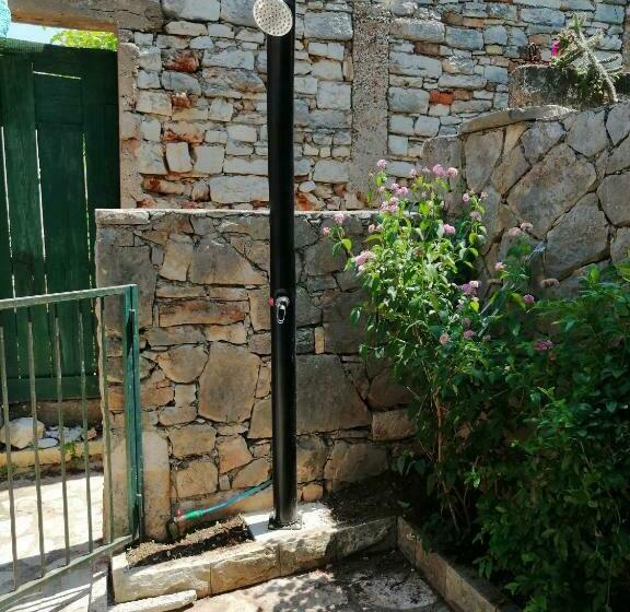 House Cozy House Sara