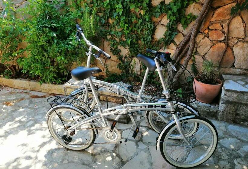 House Cozy House Sara