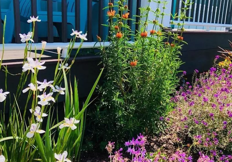 Hotelli Seafoam Lodge