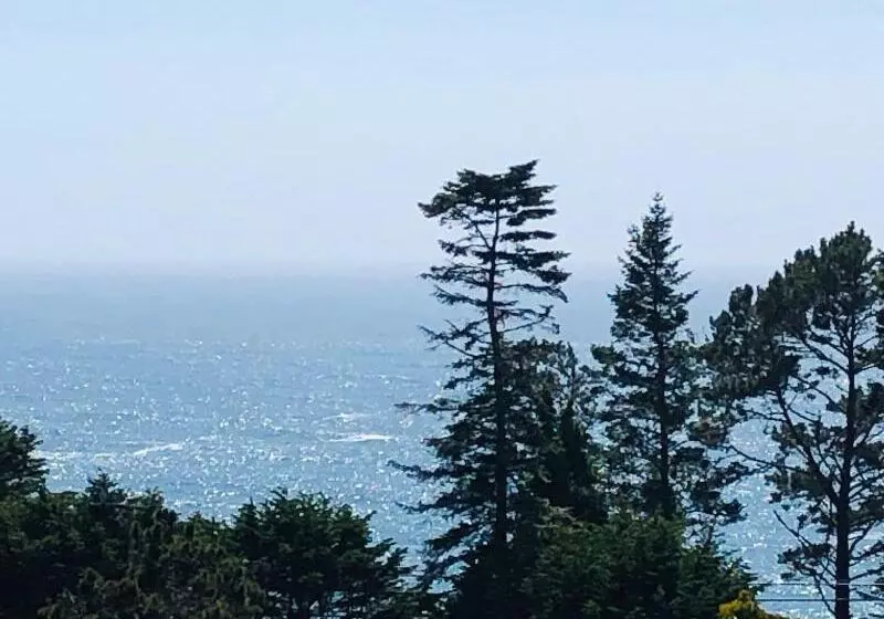 Hotelli Seafoam Lodge