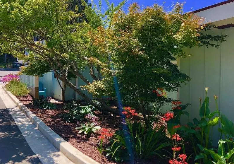 Hotelli Seafoam Lodge