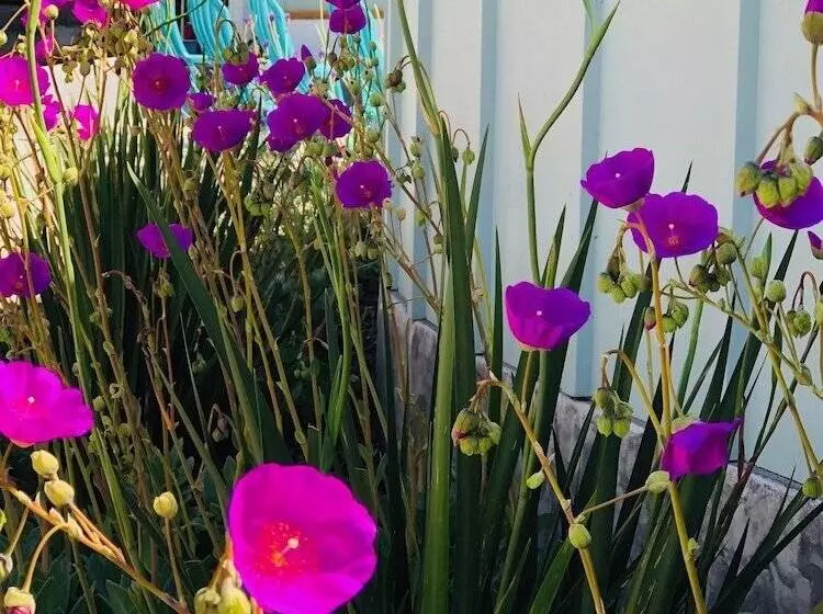 Hotelli Seafoam Lodge