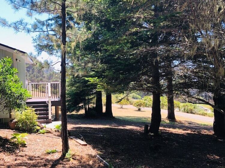 酒店 Seafoam Lodge